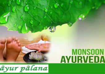 Monsoon Ayurveda