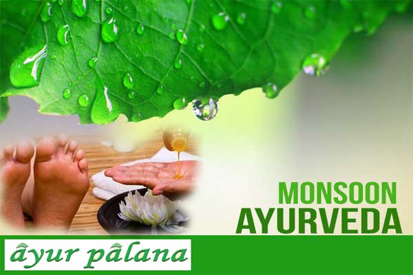 Monsoon Ayurveda
