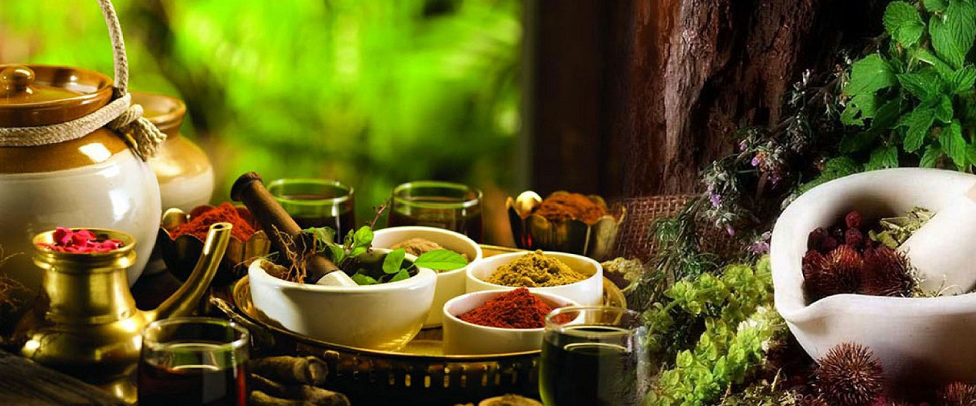 Ayurveda medicine | Ayurvedic treatment in Kerala | Ayurpalana